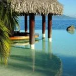 시뮬레이션 야자수 짚 롤 인조 짚 가짜 잔디 방수 PVC/PE 멕시코 티키 오두막 바 짚 지붕 장식 파티오 - 이미지 5