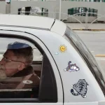 고양이 스크래치 자동차 데칼 재미 있은 고양이 스티커 귀여운 범퍼 데칼 자기 접착 자동차 장식 게으른 고양이 유머 고양이 테마 스티커 자동 - 이미지 3